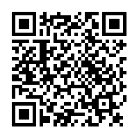 qr code with link to eleventh  example