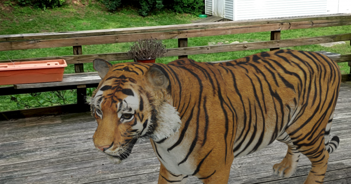 3d model google tiger